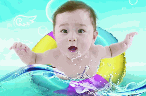 孕期食用海参的益处与关键注意事项